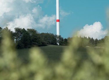 Imagem em ambiente externo com paisagem de árvores e céu azul com nuvens