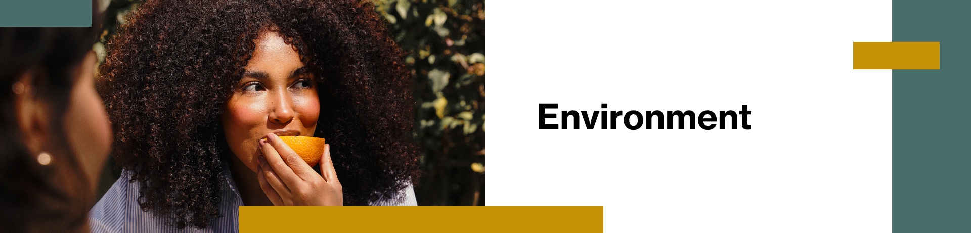 Environment