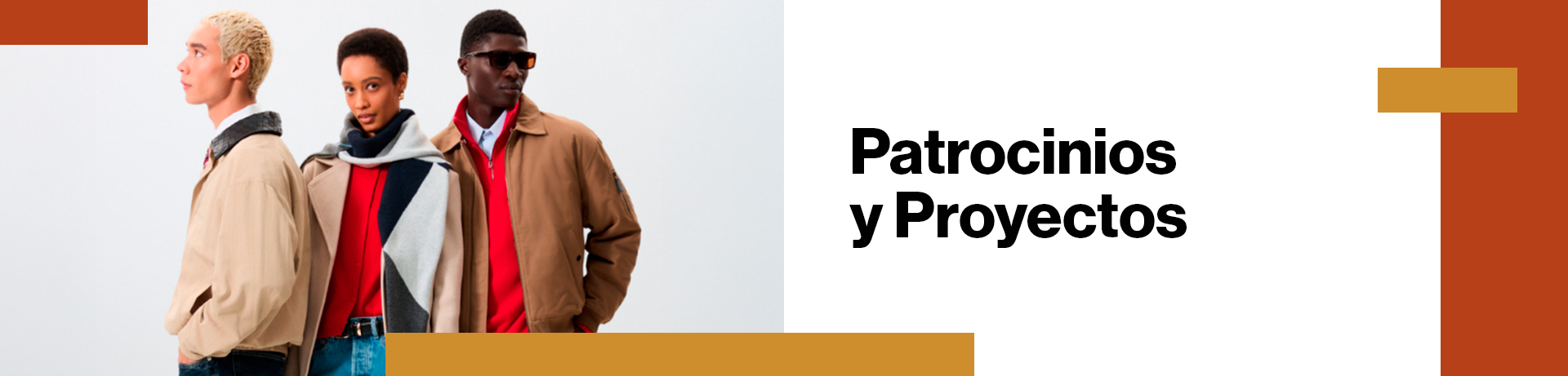 Patrocinios y proyectos